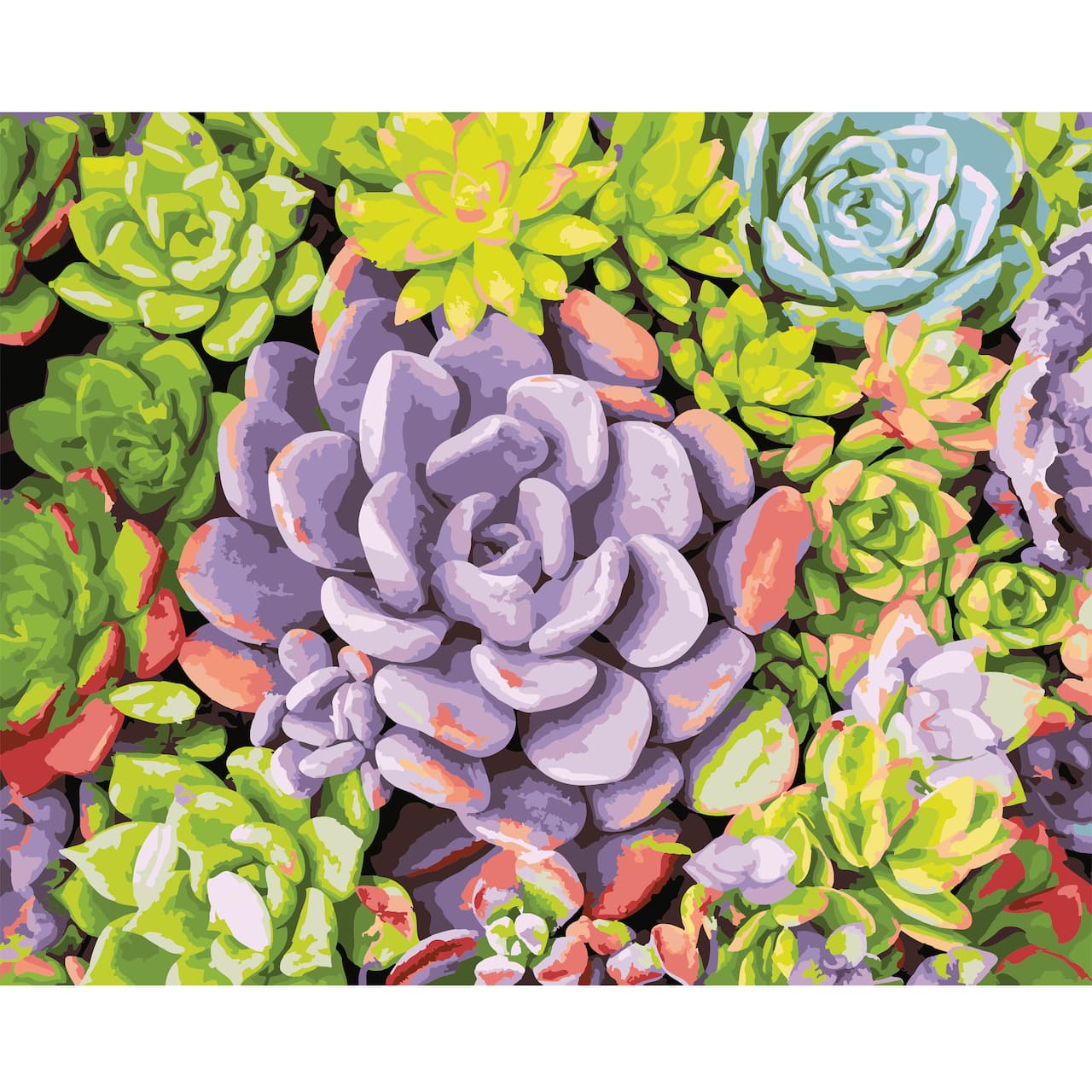 Succulents Paint-by-Number Kit by Artist's Loft®